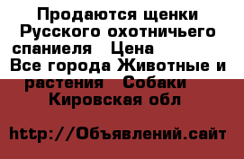 Продаются щенки Русского охотничьего спаниеля › Цена ­ 25 000 - Все города Животные и растения » Собаки   . Кировская обл.